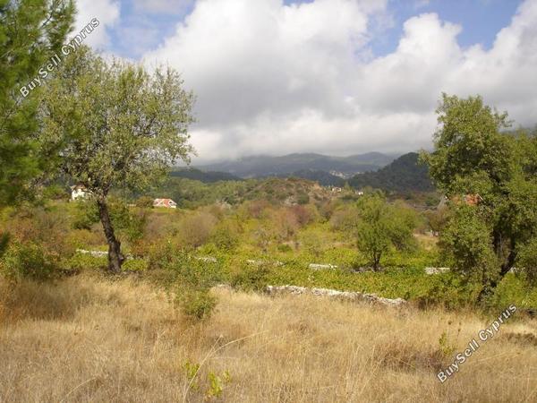 land for sale pera pedi limassol 7738743 image 10206601