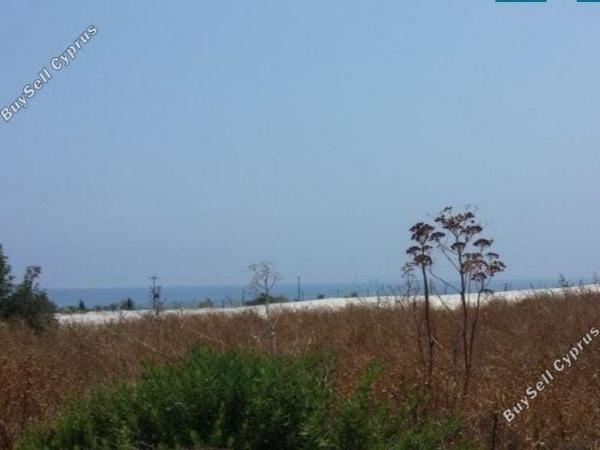 land for sale agios theodoros larnacas larnaca 7737843 image 10195397