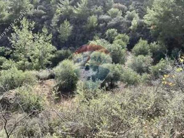 land for sale lythrodontas nicosia 8151843 image 14143759