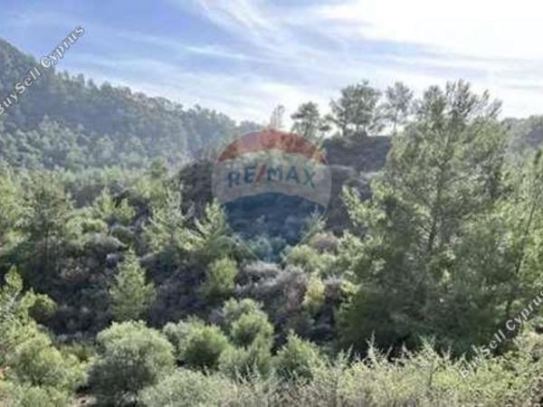 land for sale lythrodontas nicosia 8151843 image 14143765