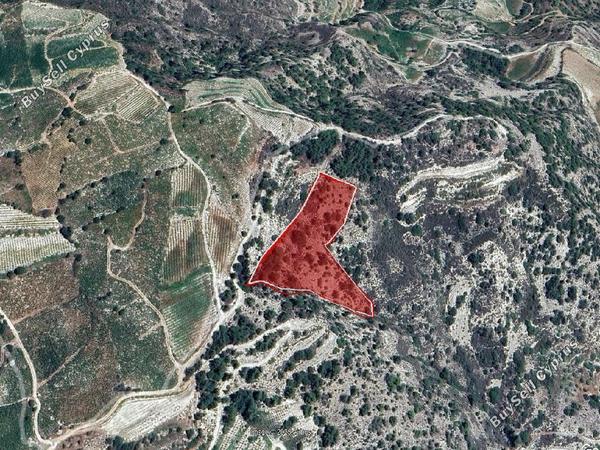 land for sale panagia paphos 1707843 image 15596832