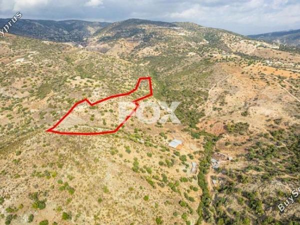 land for sale peyia paphos 1160843 image 5549454