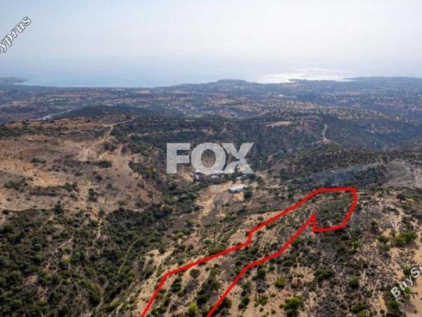 land for sale peyia paphos 1160843 image 5549456