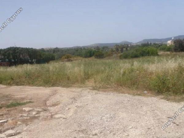 land for sale poli chrysochous paphos 1355843 image 15279272