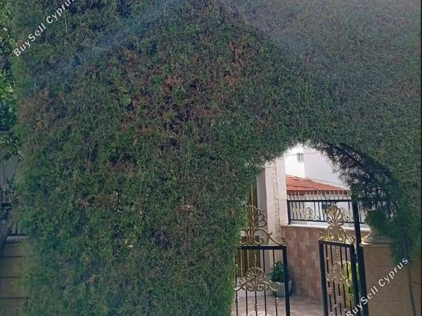 9 bedroom detached house for sale zakaki limassol 8433943 image 15273398