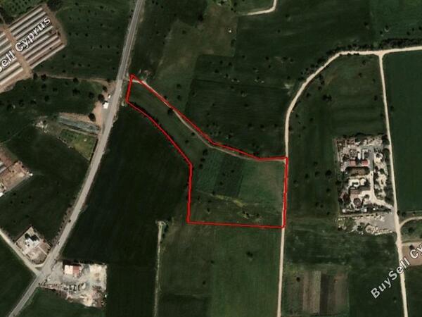 land for sale mazotos larnaca 830943 image 1056722