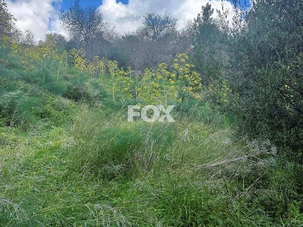 land for sale tremithousa paphos 1160943 image 10031692