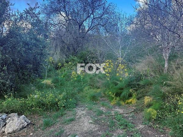 land for sale tremithousa paphos 1160943 image 10031696