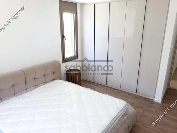 2 bedroom apartment for rent agios dometios nicosia 8749053 image 16471280