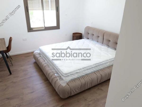 2 bedroom apartment for rent agios dometios nicosia 8749053 image 16471284