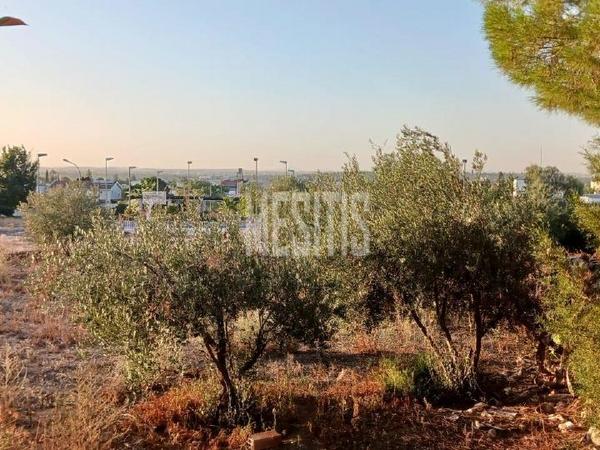 3 bedroom detached house for sale platy aglantzias nicosia 1207053 image 10492005