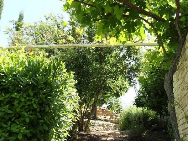 4 bedroom detached house for sale tsada paphos 1683053 image 4390556