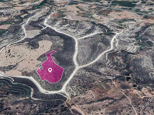 land for sale anglisides larnaca 1113053 image 2680486