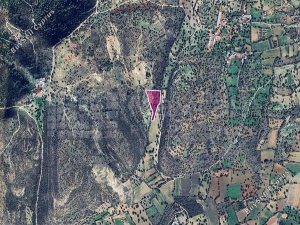 land for sale anogyra limassol 7873053 image 11388887
