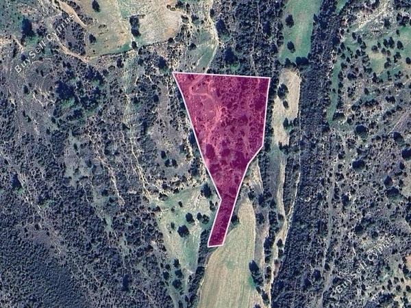land for sale anogyra limassol 7873053 image 11388888