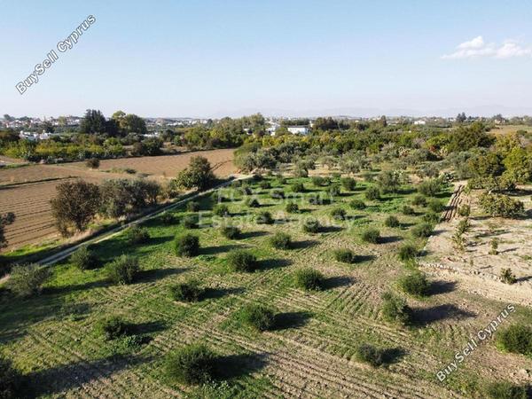 land for sale pera orinis nicosia 8645053 image 15928018