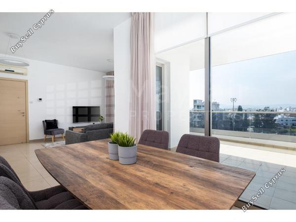 2 bedroom apartment for rent larnaca municipality larnaca 8393153 image 17269295