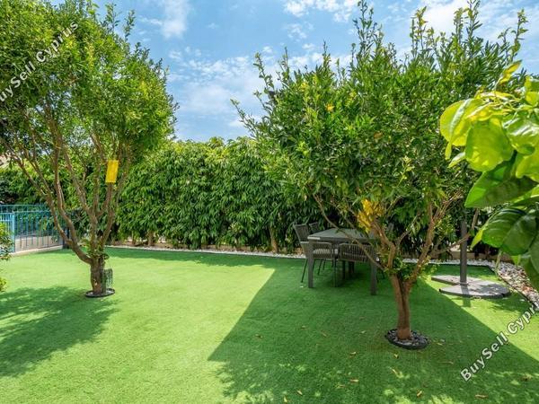 3 bedroom detached house for rent konia paphos 8765153 image 16557706