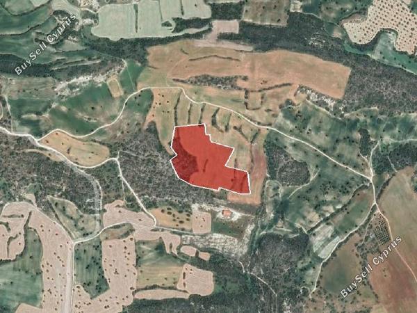 land for sale agios theodoros larnacas larnaca 957153 image 15603213