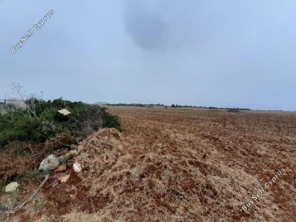land for sale agios theodoros larnacas larnaca 957153 image 15603214