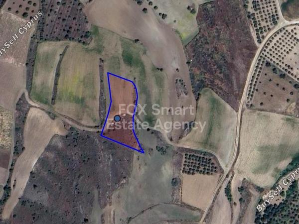land for sale kalo chorio oreinis nicosia 1754153 image 12688511