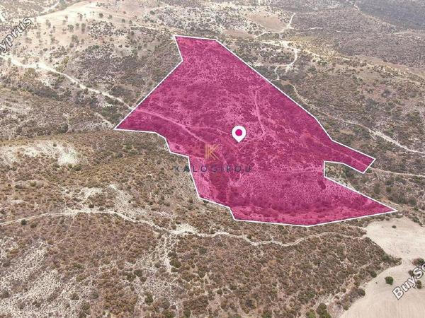 land for sale skarinou larnaca 1650153 image 5665812