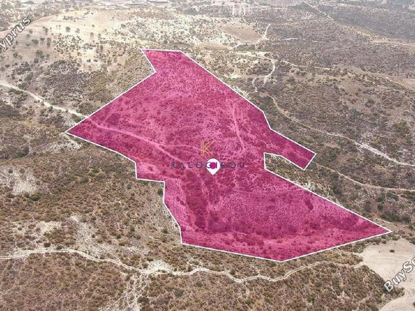 land for sale skarinou larnaca 1650153 image 5665815