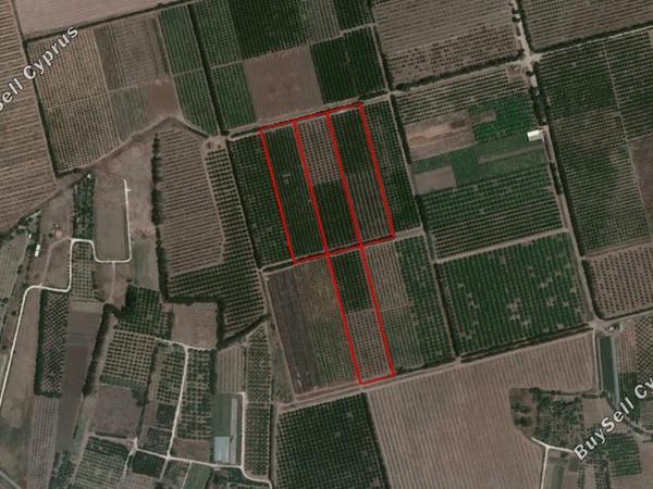 land for sale akrotiri limassol 829253 image 11081659