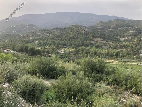 land for sale trimiklini limassol 7737253 image 10188043