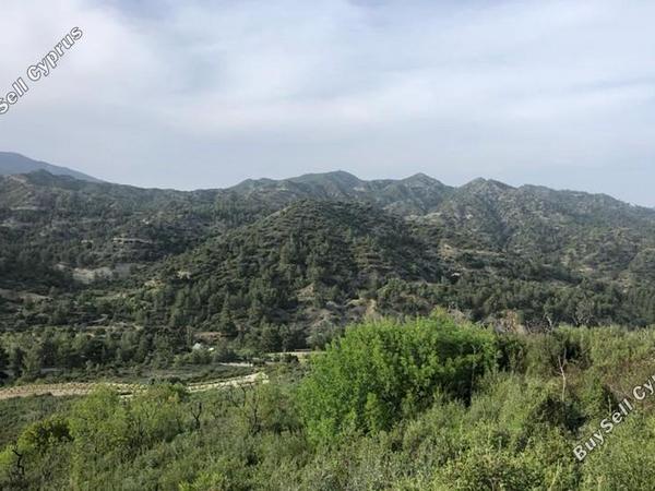 land for sale trimiklini limassol 7737253 image 10188044