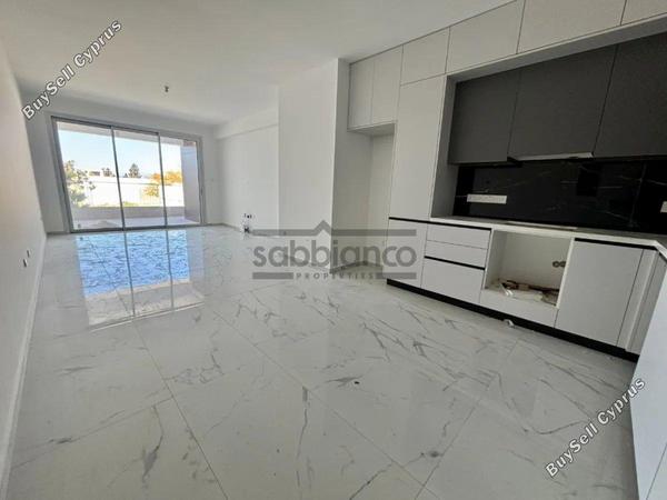 2 bedroom apartment for rent kato lakatamia nicosia 8752353 image 16501448