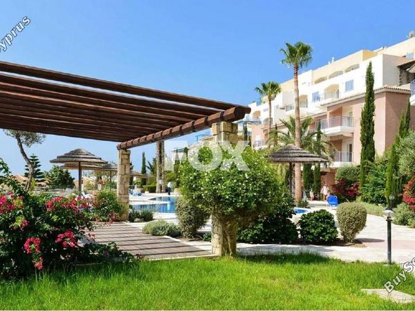 2 bedroom apartment for sale geroskipou paphos 7489353 image 9302116