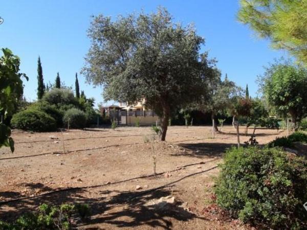 3 bedroom detached house for sale aphrodite hills paphos 1798353 image 15008375