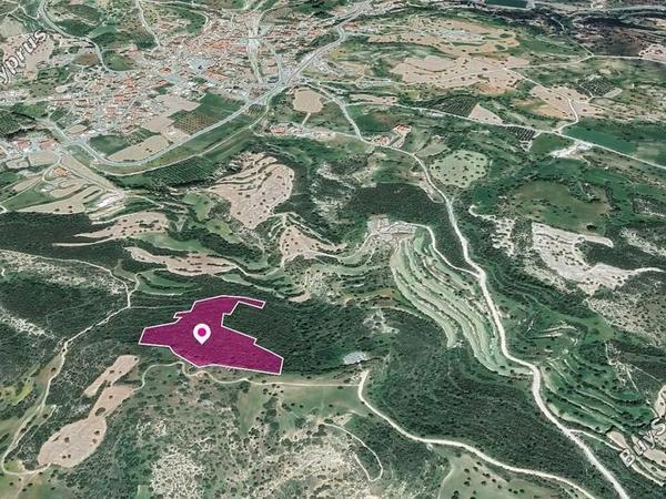 land for sale agios theodoros larnacas larnaca 8629353 image 15867474