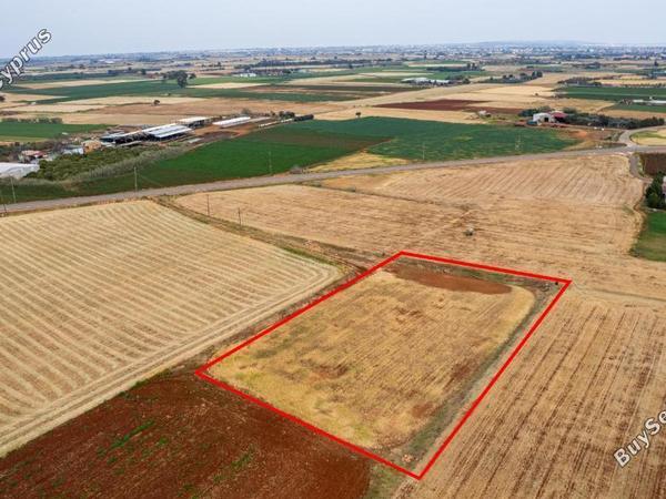 land for sale avgorou famagusta 1850353 image 6682475