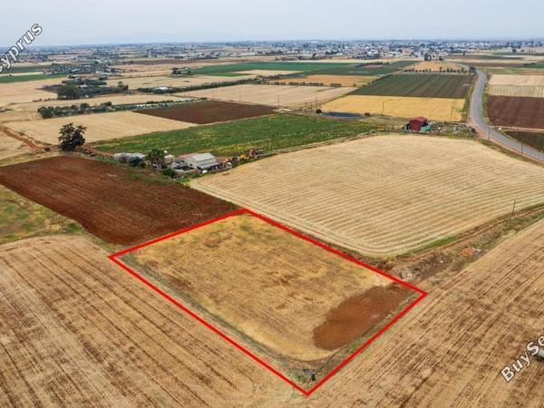 land for sale avgorou famagusta 1850353 image 6682476