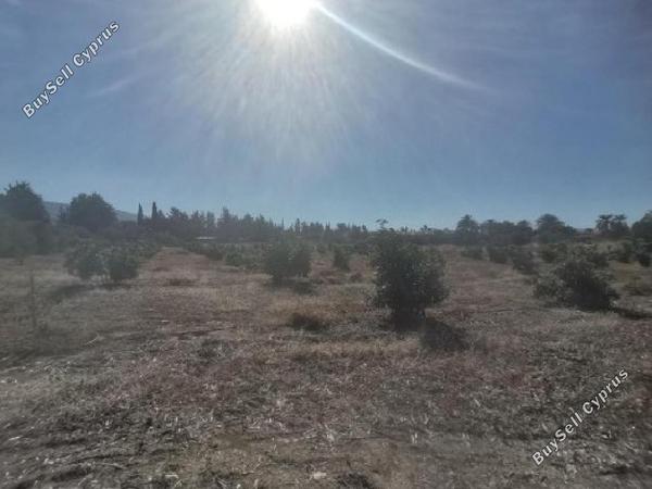 land for sale poli chrysochous paphos 946353 image 17102795