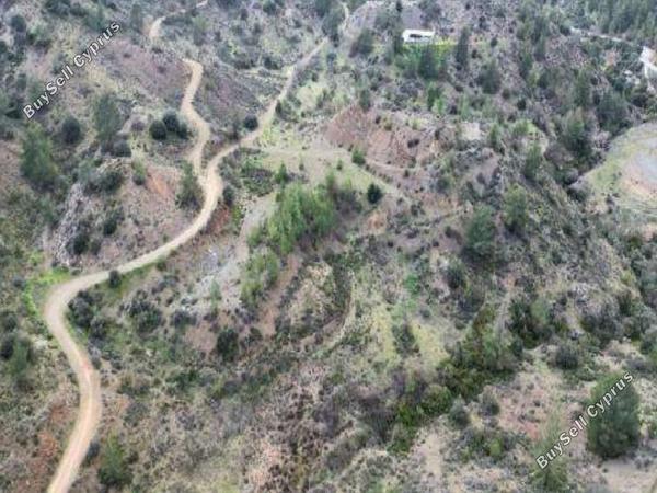 land for sale kalo chorio lemesou limassol 8798453 image 16715800