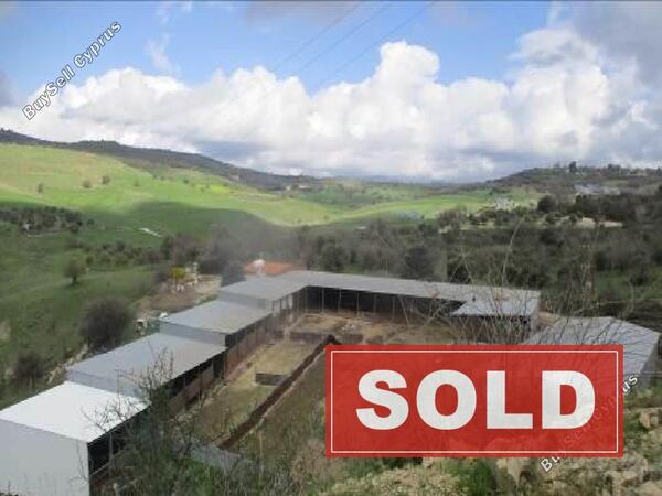 land sold agios dimitrianos paphos 1637453 image 4151523