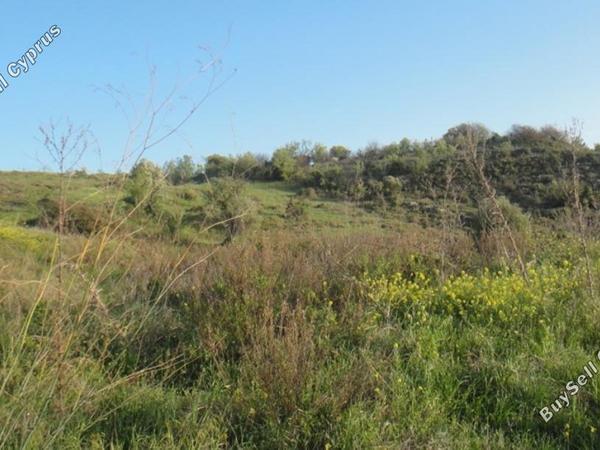 plot for sale pentalia paphos 1681453 image 16182851