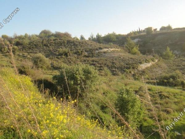 plot for sale pentalia paphos 1681453 image 16182853