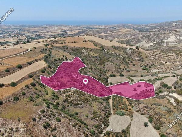 land for sale choli paphos 8629553 image 15868892