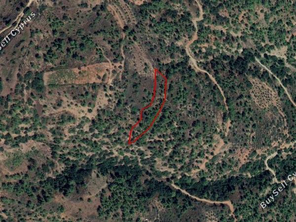 land for sale kalopanagiotis nicosia 830553 image 12843173