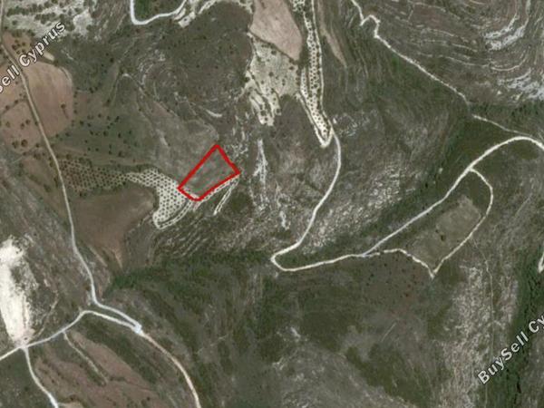 land for sale kritou tera paphos 828553 image 2808938