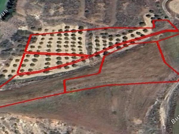 land for sale palaiometocho nicosia 7526553 image 16180514