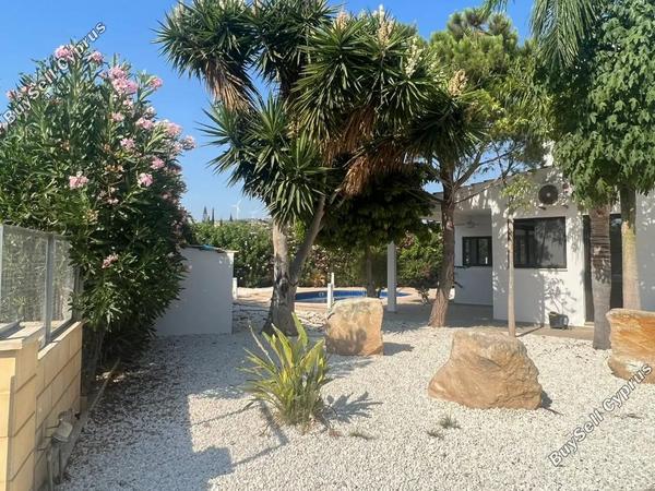 5 bedroom detached house for rent kouklia pafou paphos 7862653 image 14558563