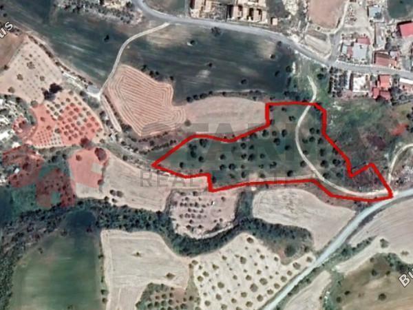land for sale alaminos larnaca 8548653 image 15538452