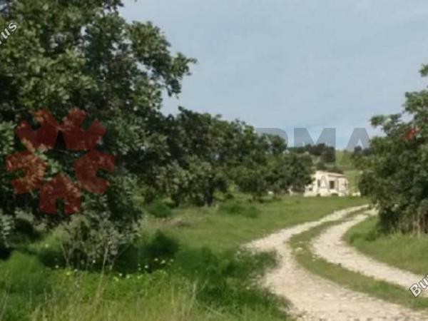 land for sale alaminos larnaca 8548653 image 15538453