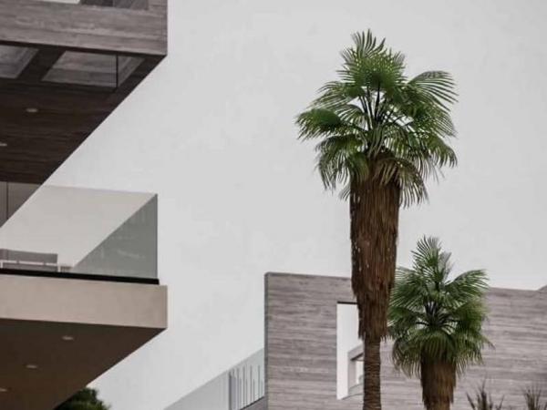 1 bedroom apartment for sale meneou larnaca 8476753 image 15234297