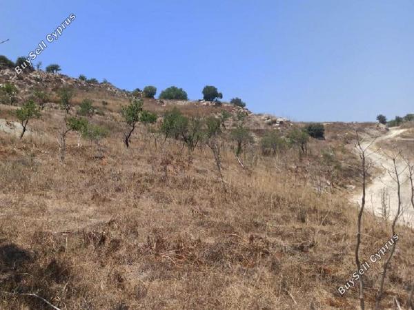 land for sale armou paphos 1877753 image 16009775